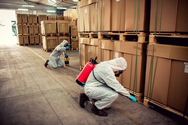 Best Mosquito Control Services  in North Little Rock, AR