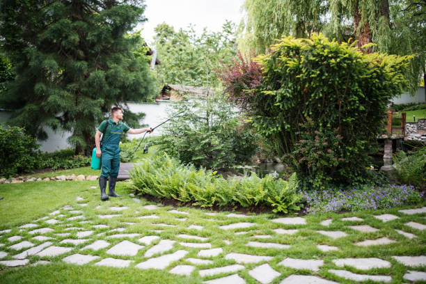 Best Best Pest Control Companies  in North Little Rock, AR
