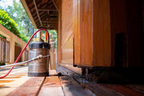 Best Best Pest Control Companies  in North Little Rock, AR
